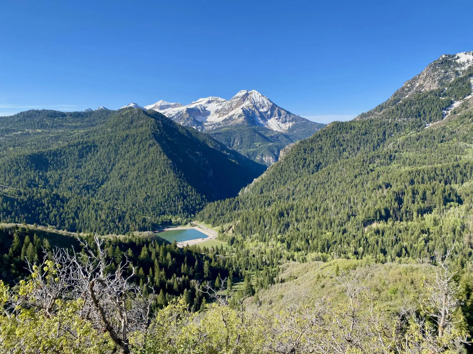 Silver Creek